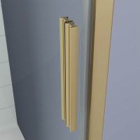 Душевая дверь Veconi Ottimo P20 G, 1100x1900, золото брашинг, стекло прозрачное