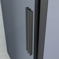 Душевая дверь Veconi Ottimo P20 GR, 1100x1900, графит брашинг, стекло прозрачное