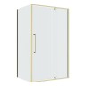 Душевое ограждение Niagara Nova NG-45-11ASG-A100SG-34 (110х100х195) прямоугольник,распашная,золото сатин,стекло прозрачное,2 места