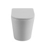 Унитаз приставной безободковый с сиденьем BelBagno FLAY-R BB1003CBR/SC