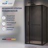 Душевой уголок RGW LE-45-B (Прозрачное, 1200x1000)