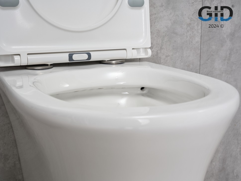 Унитаз подвесной Gid Tr2101 62232Y белый 49x36x36