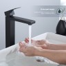 Смеситель Splenka высокий для умывальника S224.15.06 Черный