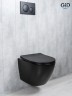 Унитаз подвесной Tornado Gid Tr2122TF-Bm 62261Y черный матовый 49x36x36
