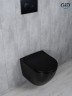 Унитаз подвесной Tornado Gid Tr2122TF-Bm 62261Y черный матовый 49x36x36