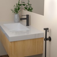 Смеситель для раковины с гигиеническим душем Timo Saona 2360/03G черный