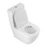 Чаша напольного унитаза со смывом TORNADO с сиденьем BelBagno SFERA-TOR BB2141CP-TOR/SC