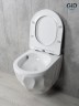 Унитаз подвесной Tornado Gid Tr2196TFX 62263Y белый 49x35.5x34