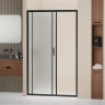 Душевая дверь RGW PA-14B (Матовое-Сатинат, 1000мм)  