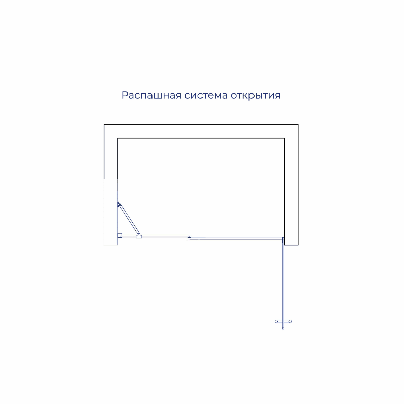 Душевая дверь RGW HO-012 900