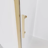 Душевая дверь Veconi Evo 100 G, 1000x1950, золото брашинг, стекло прозрачное