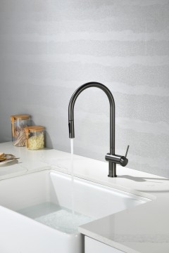AQM9901GM Cucina Смеситель для кухни с выдвижным U-образным изливом, металл