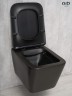 Унитаз подвесной Gid Tr2144Bm 62225Y черный матовый 52x36x33.5
