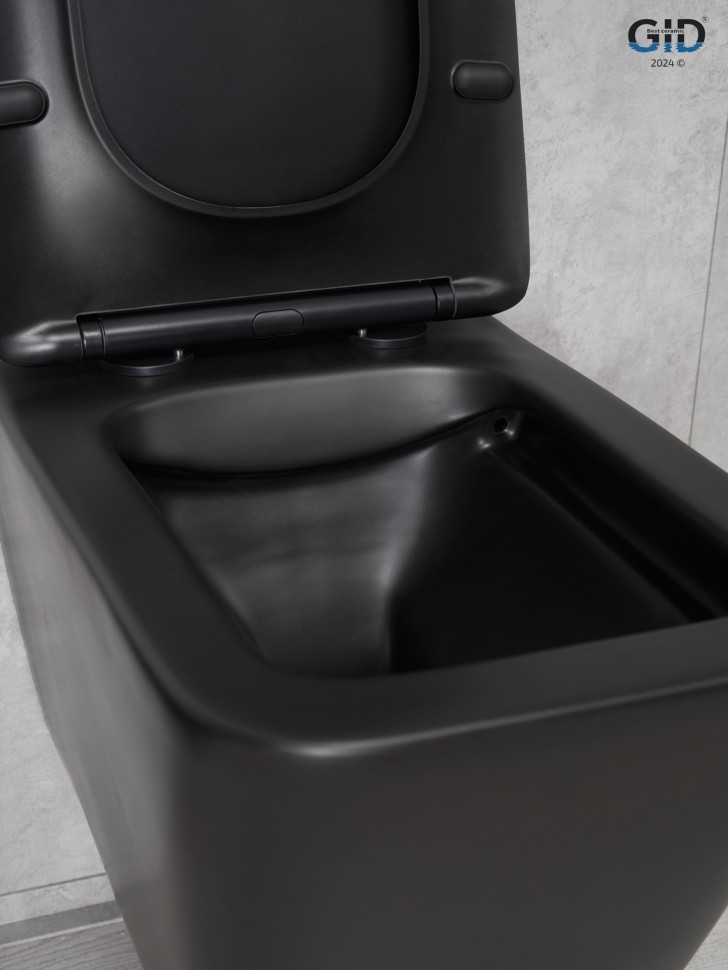 Унитаз подвесной Gid Tr2144Bm 62225Y черный матовый 52x36x33.5