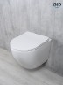 Унитаз подвесной Tornado Gid Tr2122TF 62258Y белый 49x36x36