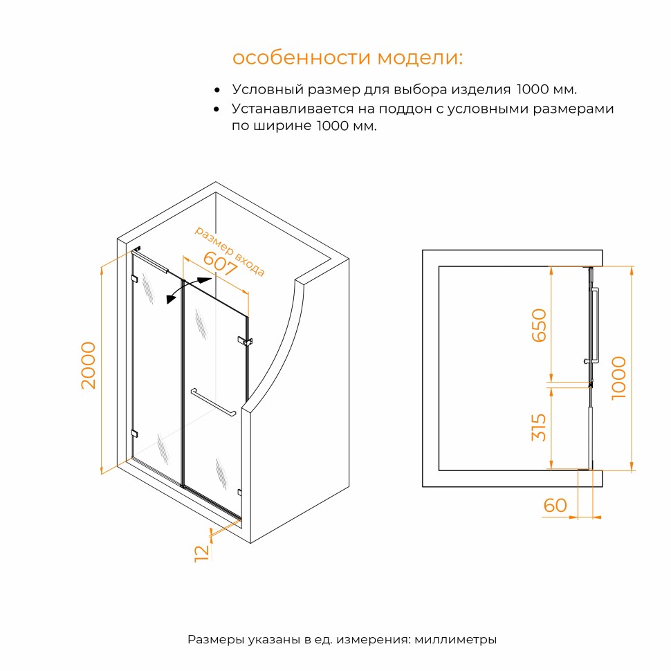 Душевая дверь RGW SV-006Gb (Прозрачное, 1000мм)