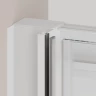 Душевая дверь RGW PA-14W 1700  