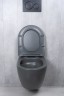 Унитаз подвесной Tornado Gid Tr2122TF-Dgm 62260Y серый матовый 49x36x36