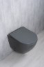 Унитаз подвесной Tornado Gid Tr2122TF-Dgm 62260Y серый матовый 49x36x36
