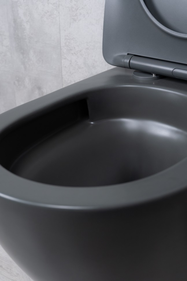 Унитаз подвесной Tornado Gid Tr2122TF-Dgm 62260Y серый матовый 49x36x36