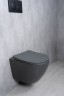 Унитаз подвесной Tornado Gid Tr2122TF-Dgm 62260Y серый матовый 49x36x36