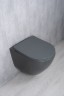 Унитаз подвесной Tornado Gid Tr2122TF-Dgm 62260Y серый матовый 49x36x36
