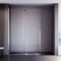 Душевая перегородка Veconi Premium Trento PTDW-50CH, 1200x2000, хром, стекло прозрачное