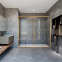 Душевая дверь Garda VDS-1G2170CLG, 1700, брашированное золото, стекло прозрачное