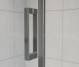 Душевая дверь Flex VDP-1F900CGB, 900, черный, стекло тонированное