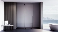 Душевая перегородка Veconi Premium Trento PTDW-50B, 1000x2000, черный матовый, стекло прозрачное