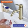 Смеситель Prohanss для умывальника P31.10.03 Сатин золотой