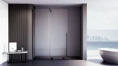 Душевая перегородка Veconi Premium Trento PTDW-50B, 1100x2000, черный матовый, стекло прозрачное