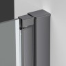 Душевая дверь Alpha VDP-3AL100CLGM, вороненая сталь, стекло прозрачное