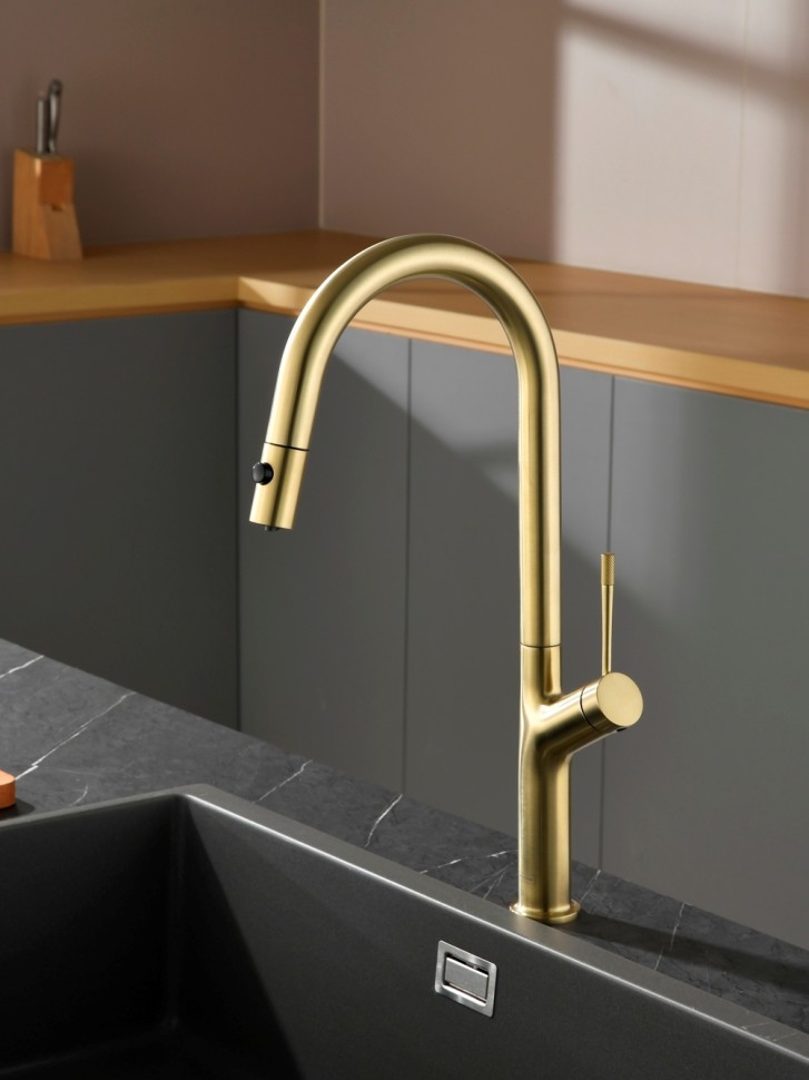 Смеситель для кухни AQUAme Cucina с выдвижным изливом AQM9905BG