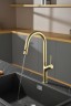 Смеситель для кухни AQUAme Cucina с выдвижным изливом AQM9905BG