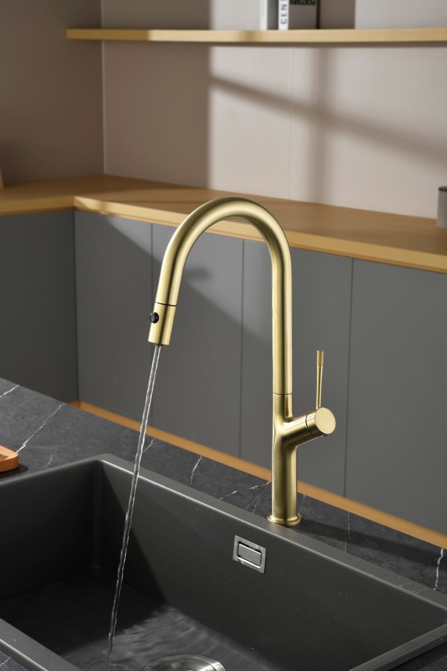 Смеситель для кухни AQUAme Cucina с выдвижным изливом AQM9905BG