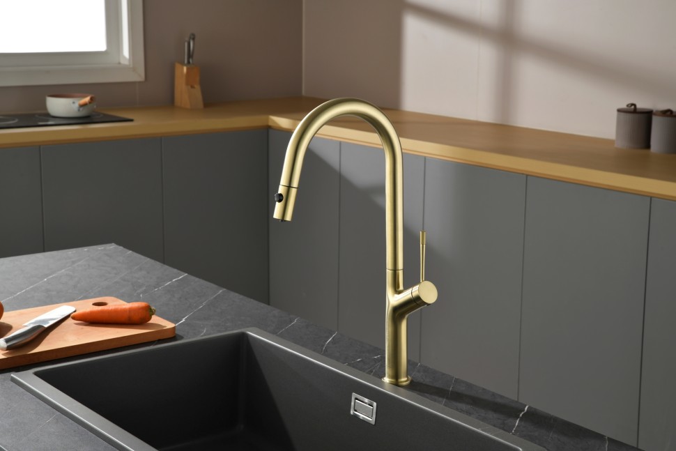 Смеситель для кухни AQUAme Cucina с выдвижным изливом AQM9905BG