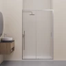 Душевая дверь RGW CL-14S NEW 1100