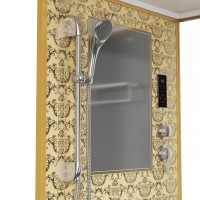 Душевая кабина Niagara Luxe NG-7714G (100x90х215) низкий поддон(15см),дверь распашная,стенки золото,5 мест
