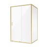 Душевое ограждение Niagara Nova NG-42-12AG-A80G (120х80х195) прямоугольник,золото,двери раздвижные,стекло прозрачное,2 места