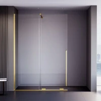 Душевая перегородка Veconi Premium Trento PTDW-50G, 1100x2000, брашированное золото, стекло прозрачное