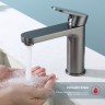 Смеситель Raglo для умывальника R50.10.09 Графит