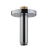 Держатель верхнего душа Hansgrohe Raindance хром 27418000