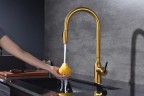 Смеситель для кухни Universal, брашированное золото, Un213880-BG, Paulmark