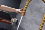 Смеситель для кухни Universal, брашированное золото, Un213880-BG, Paulmark