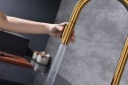 Смеситель для кухни Universal, брашированное золото, Un213880-BG, Paulmark