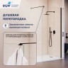 Душевая перегородка RGW WA-210B (351021008-14)