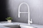 Смеситель для кухни HALT, белый матовый, Ha214021-WH, Paulmark