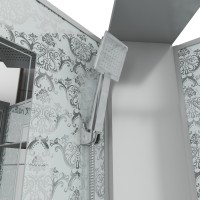 Душевая кабина Niagara Luxe NG-7717WBK (100x100х210) низкий поддон(15см),дверь распашная,стенки серебро,без крыши,4 места