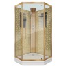 Душевая кабина Niagara Luxe NG-7799GBK (90x90х210) низкий поддон(15см),дверь распашная,стенки золото,без крыши,4 места